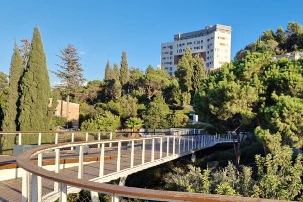 technion-bridge-051024